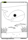 Coloring Page Whale