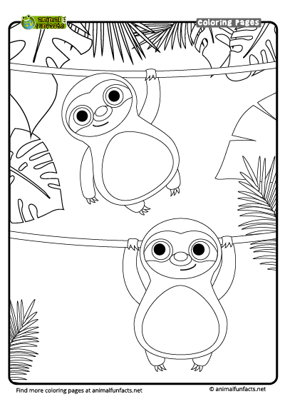 Coloring Page - Sloth