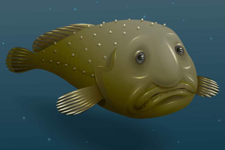 psychrolutes marcidus (or blobfish)