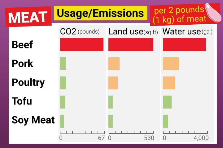 Meat - Ecological Footprint