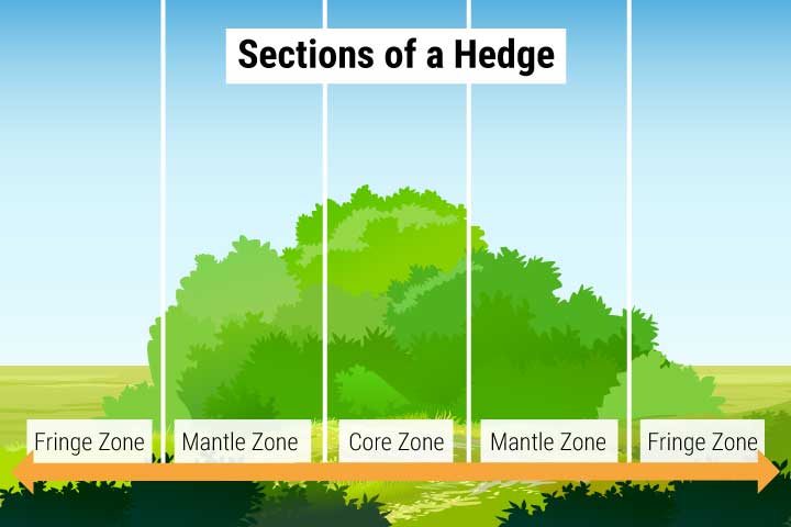 Hedge Sections