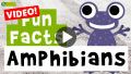 Video: 11 Amphibian Fun Facts