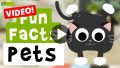 Video: 11 Pet Fun Facts